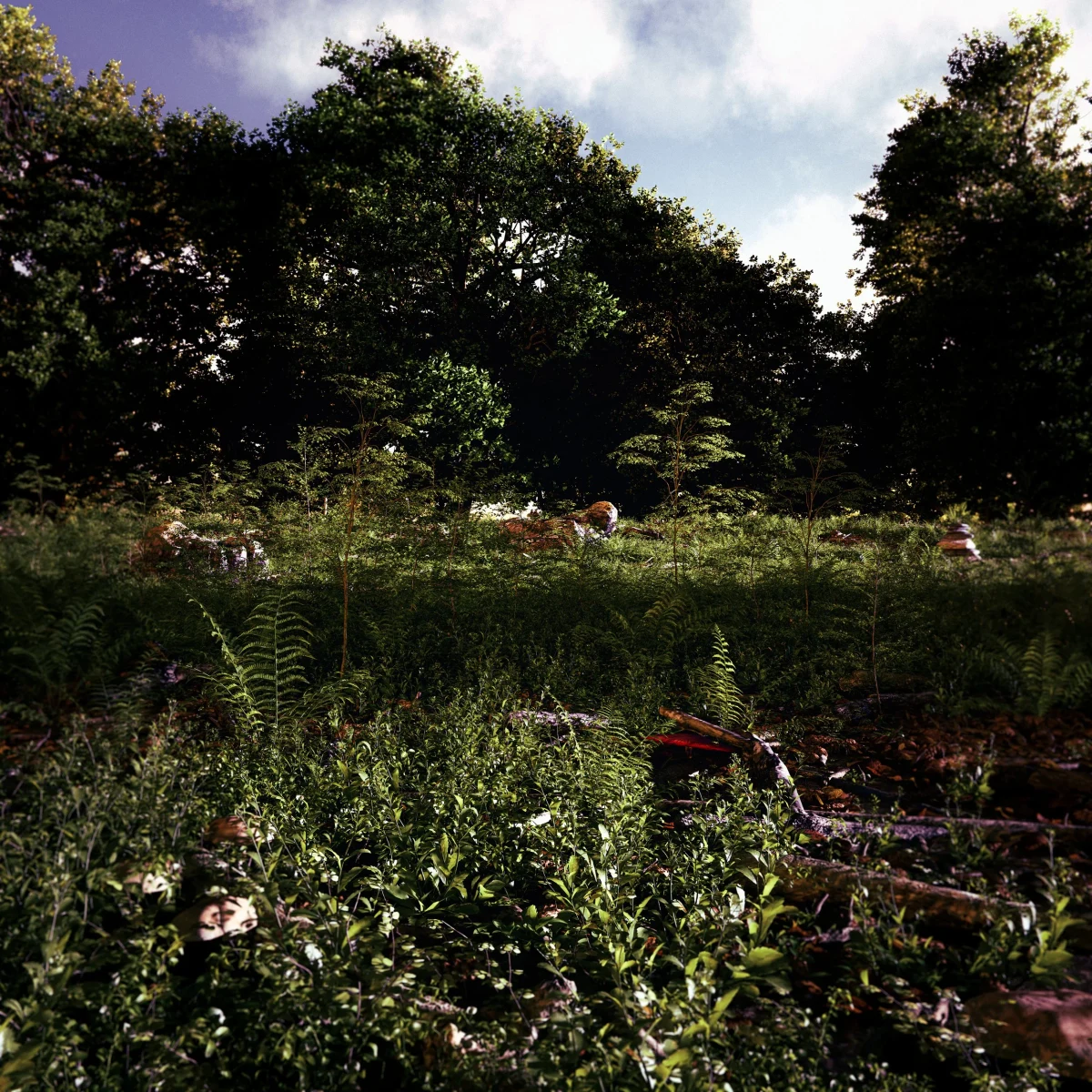 Exterior visualization: Privates Projekt - Privat